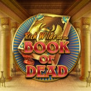 Book of Dead slot logo