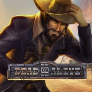 Dead or Alive 2 slot logo
