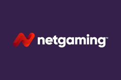 NetGaming Logo