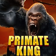 Primate King Online Slot logo