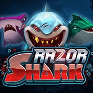 Razor Shark Online Slot Logo
