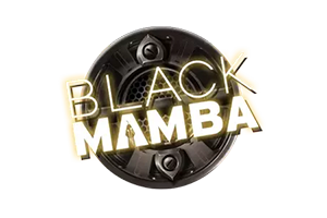 Black Mamba Online Slot logo