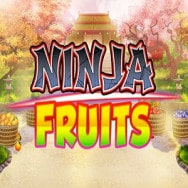 Ninja Fruits Online Slot logo