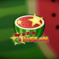 Wild Melon  Online Slot logo