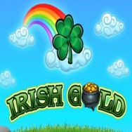 Irish Gold Online Slot logo
