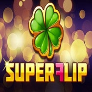 Super Flip Slot