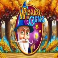 Wizard of Gems Online Slot logo