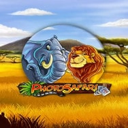 Photo Safari Online Slot logo