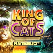 King of Cats Online Slot logo