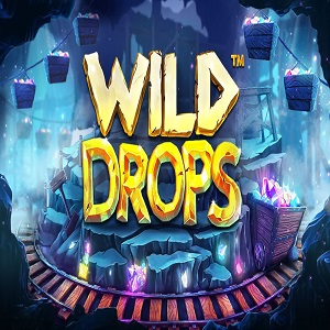 Wild Drops Online Slot logo