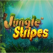 Jungle Stripes Online Slot logo