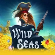 Wild Seas Online Slot Logo