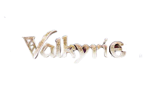 Valkyrie Online Slot Logo