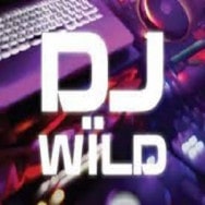 DJ Wild Online Slot Logo