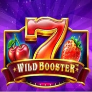 Wild Booster Online Slot logo