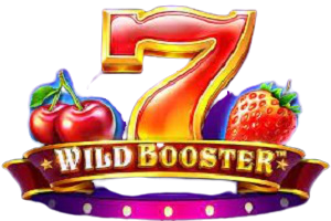 Wild Booster Online Slot logo