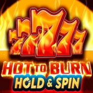 Hot To Burn Hold And Spin Online Slot logo