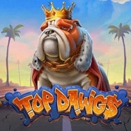 Top Dawgs Online Slot Logo