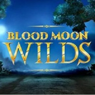 Blood Moon Wilds online slot logo