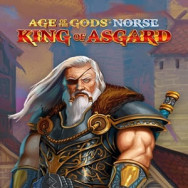 Age of the Gods Norse King of Asgard Online Slot Logo