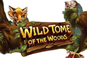 Wild Tome of the Woods online slot logo