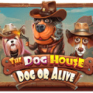 Play The Dog House Dog or Alive Slot - Pragmatic Play Online Casino Game