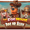 Play The Dog House Dog or Alive Slot - Pragmatic Play Online Casino Game