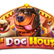 Play The Dog House Slot - Pragmatic Play Online Casino Game