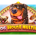 Play The Dog House Multihold Slot - Pragmatic Play Online Casino Game