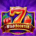 Wild Booster Online Slot logo