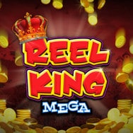 Reel King Mega online slot logo