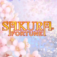 Sakura Fortune online slot logo