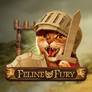 Feline Fury Online Slot logo