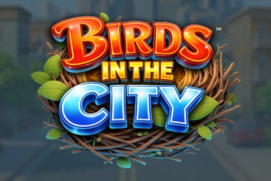 Birds in the City