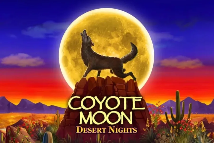 Coyote Moon Desert Nights