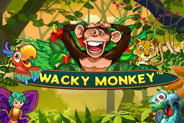 Wacky Monkey Dice Slot Logo